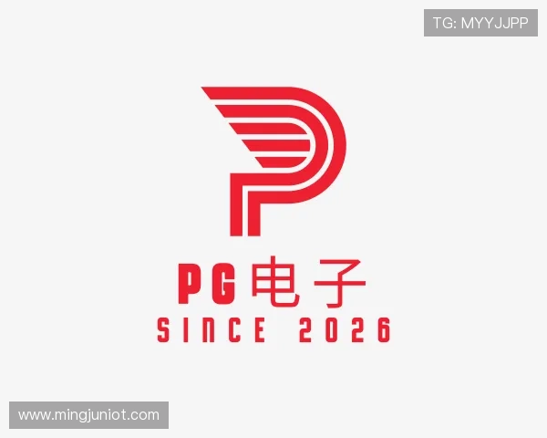 关于PG电子